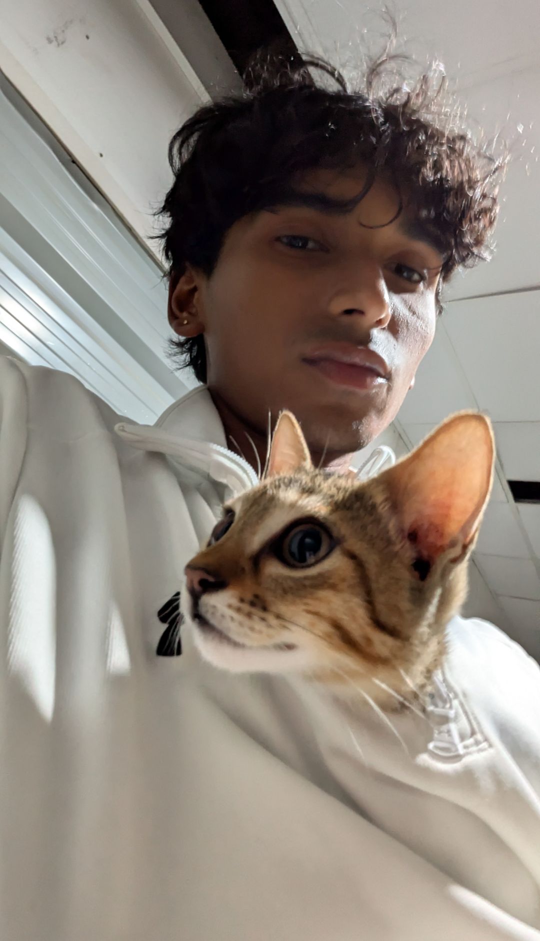cat 1