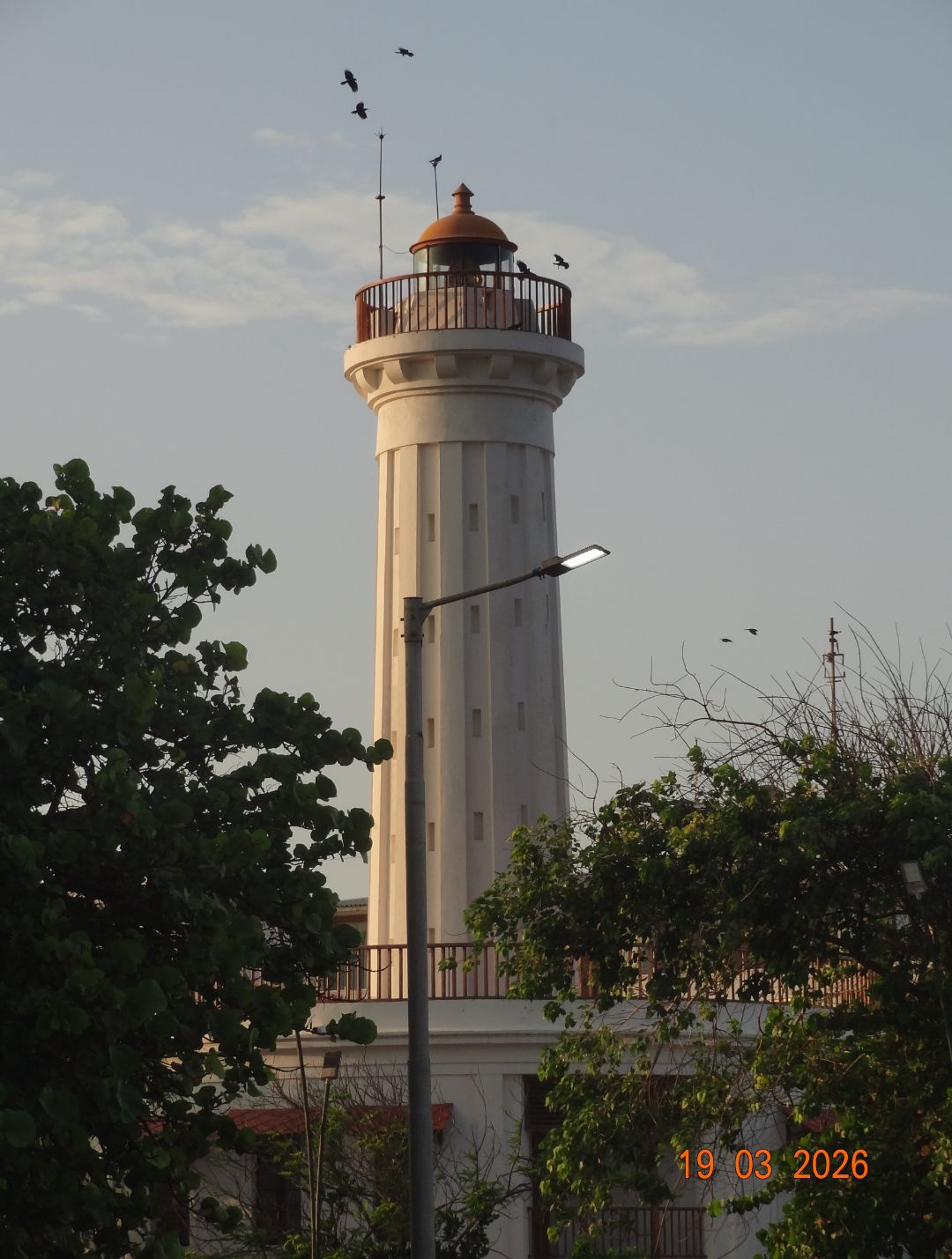 pondi 2